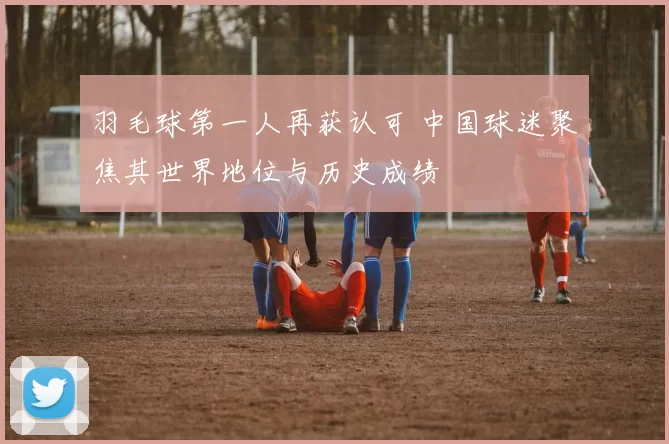 羽毛球第一人再获认可 中国球迷聚焦其世界地位与历史成绩