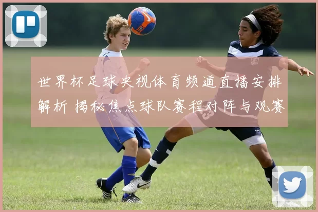 世界杯足球央视体育频道直播安排解析 揭秘焦点球队赛程对阵与观赛看点