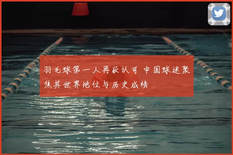羽毛球第一人再获认可 中国球迷聚焦其世界地位与历史成绩